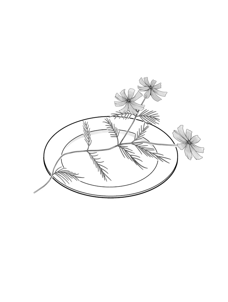 君(あなた)と味わう四季(フォーシーズン)