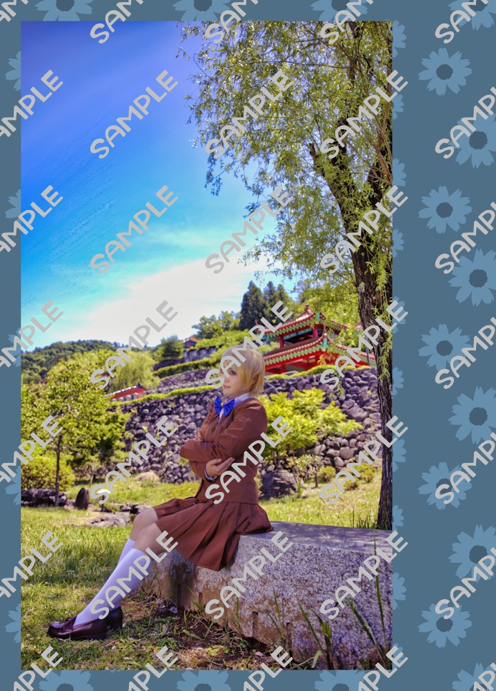 Meconopsis betonicifolia