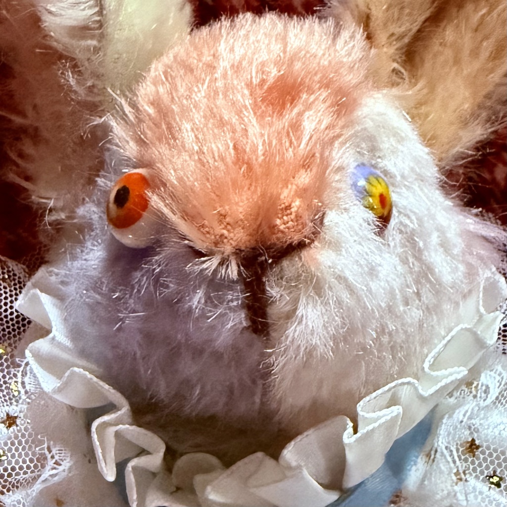ルナティック玉兎〈おまかせ・ランダム販売〉