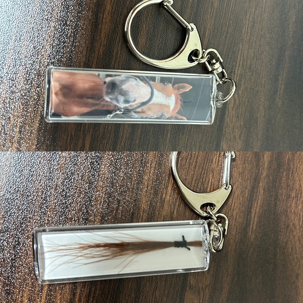 ターボさんたてがみキーホルダー