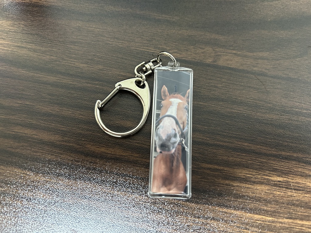 ターボさんの蹄鉄(大会入賞)キーホルダーセット