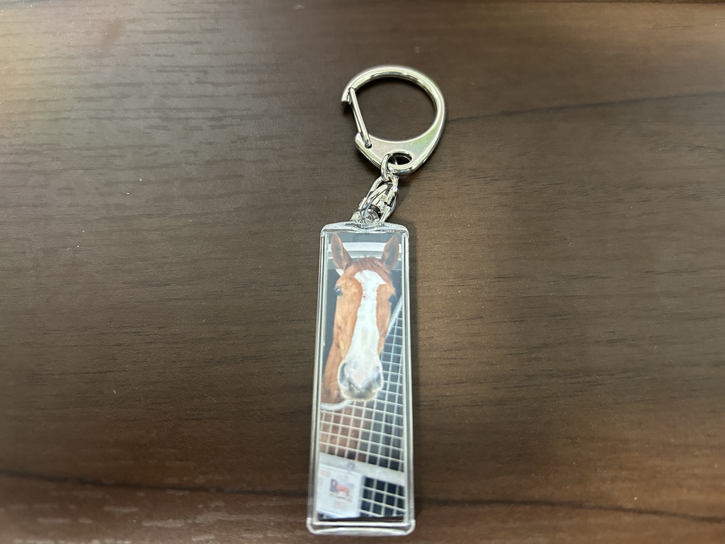 ターボさんの蹄鉄(大会入賞)キーホルダーセット