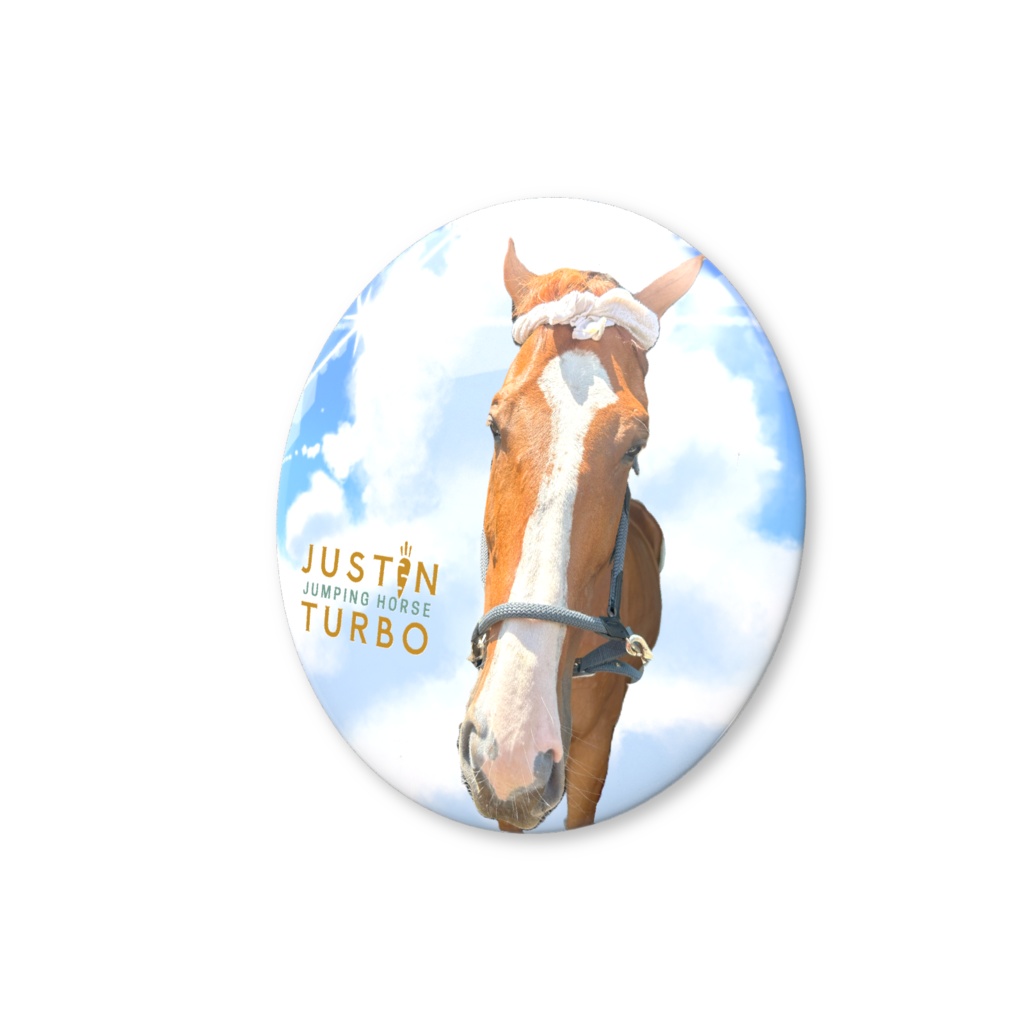 ターボさん(はちまき)