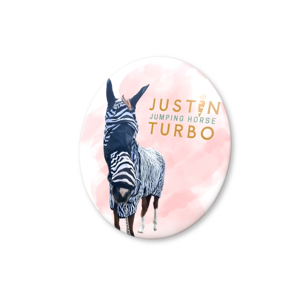 ターボさん(シマウマ)