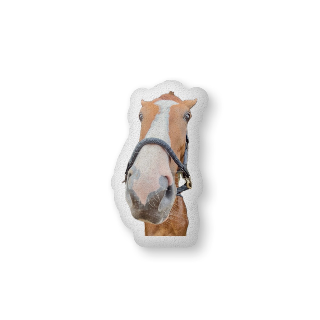 ターボさんのふかふかクッション