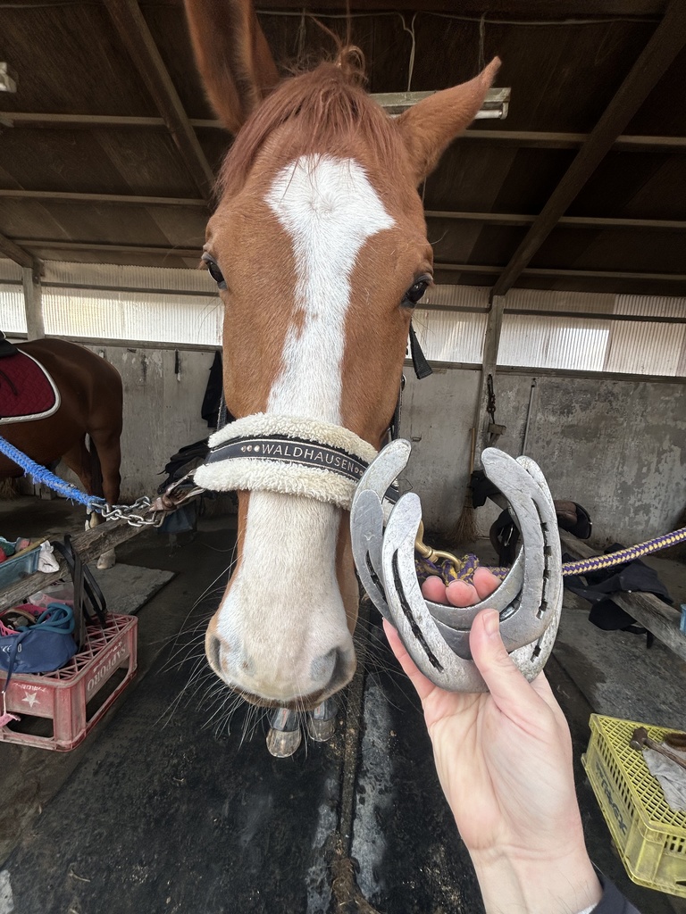 ターボさんの蹄鉄