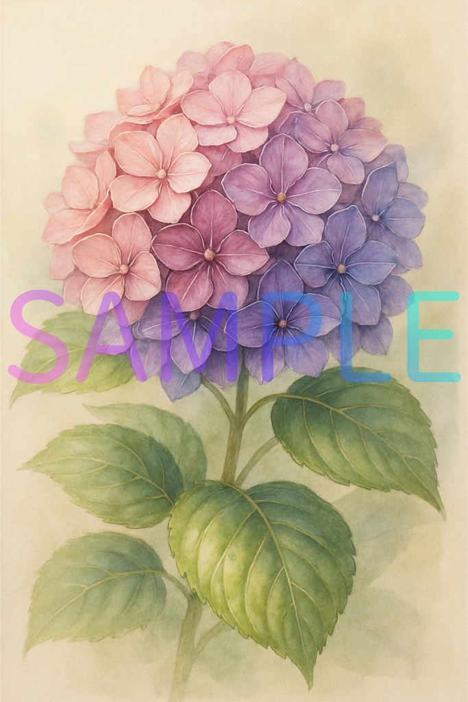 あじさいの美しいグラデーション / 幻想的な絵本風イラスト・配信用背景・表紙 [Illustration - Hydrangea]