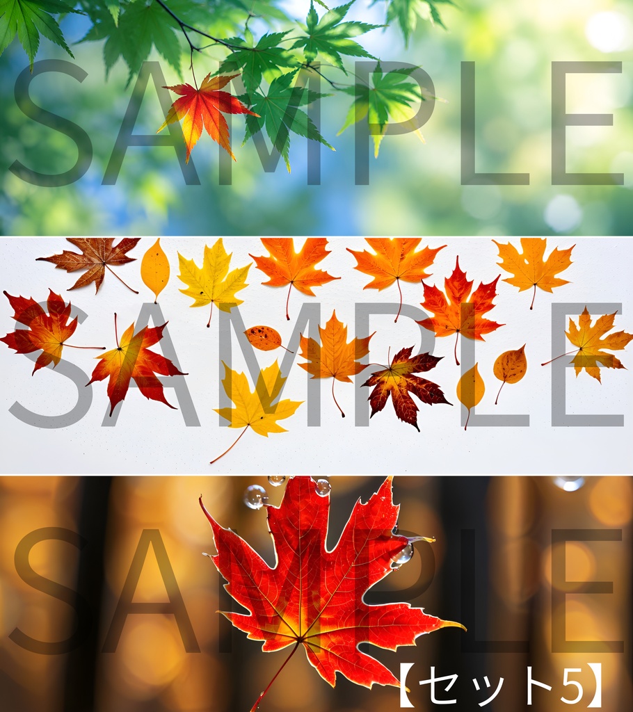 【背景素材】鮮やかな紅葉と秋の景色 3枚セット(配信用・イラスト背景・静止画) Beautiful Autumn Leaves Backgrounds