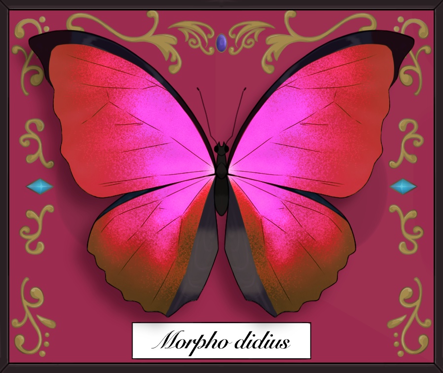 モルフォ蝶標本のスマホリング