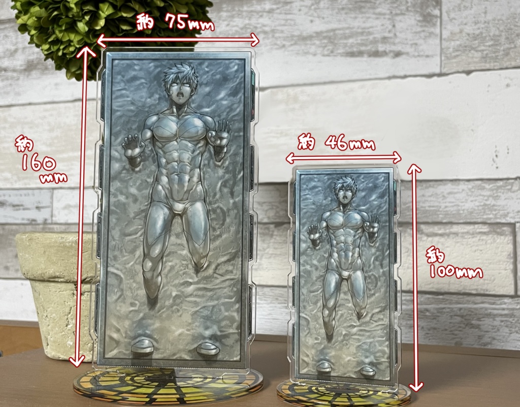 カーボンフリーズヒーローアクリルフィギュア