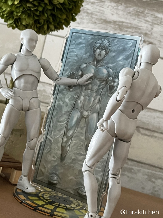 カーボンフリーズヒーローアクリルフィギュア