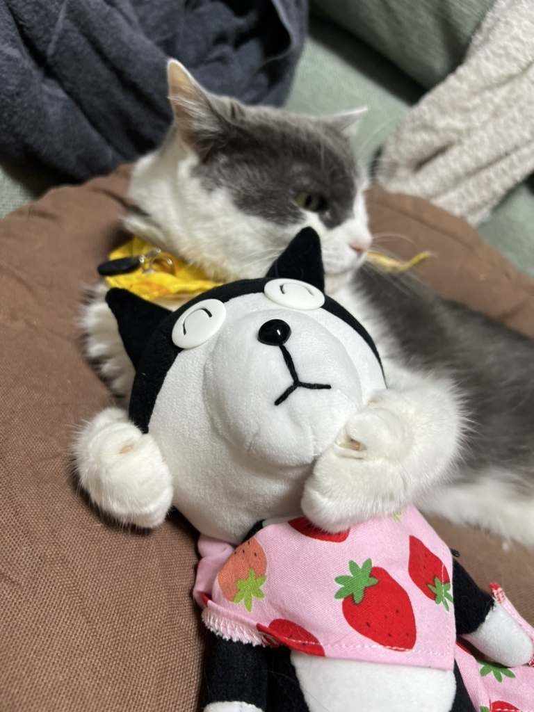 つぶ君ぬいぐるみ