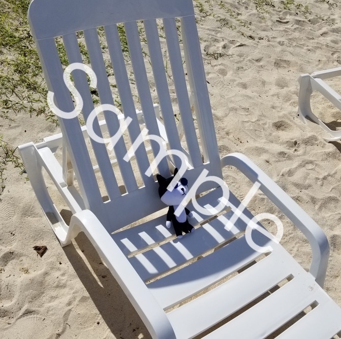 つぶくんのなつやすみ(写真集)