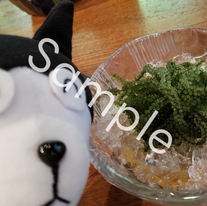 つぶくんのなつやすみ(写真集)