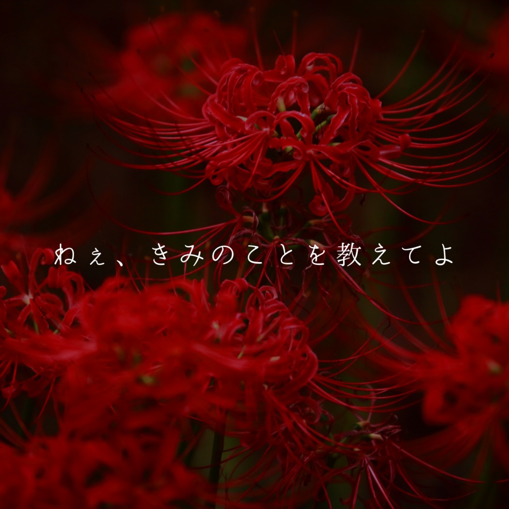 CoC 6th 『リコリスの楔』