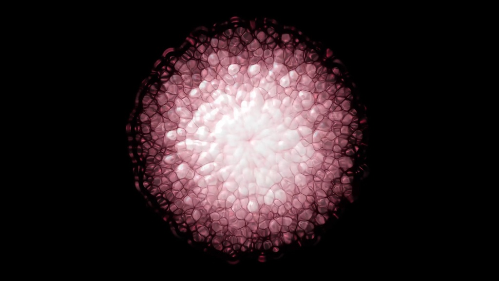 Bubble Scale Particle.ffx