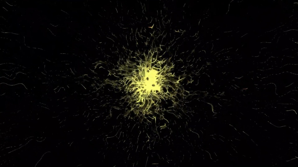 Nerve Torn Particle.ffx