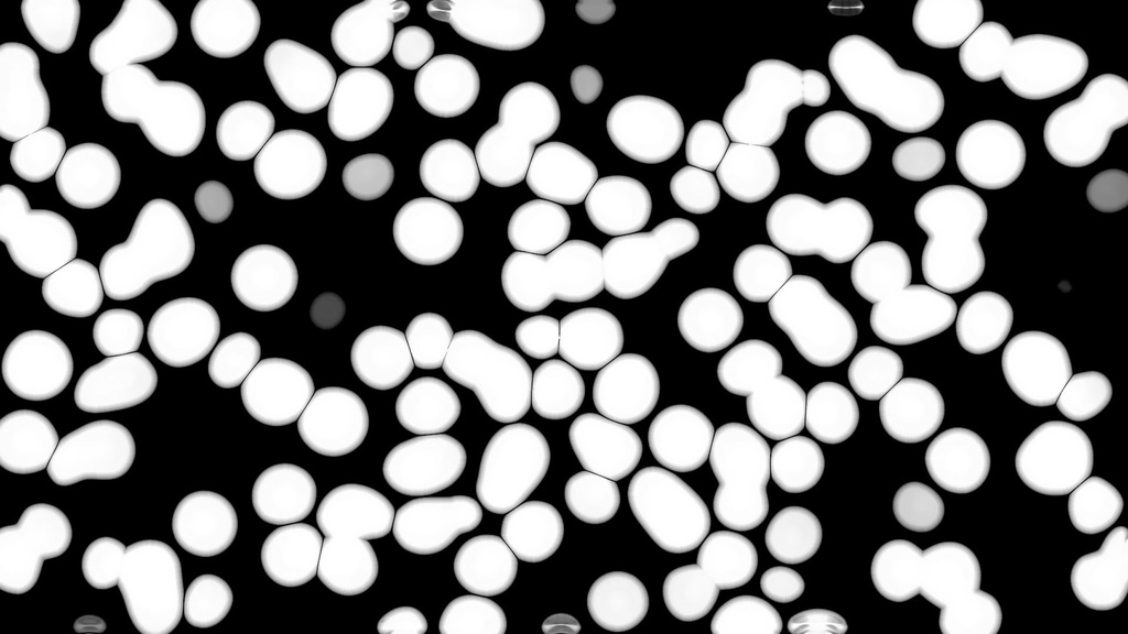 Light Cell Particle.ffx