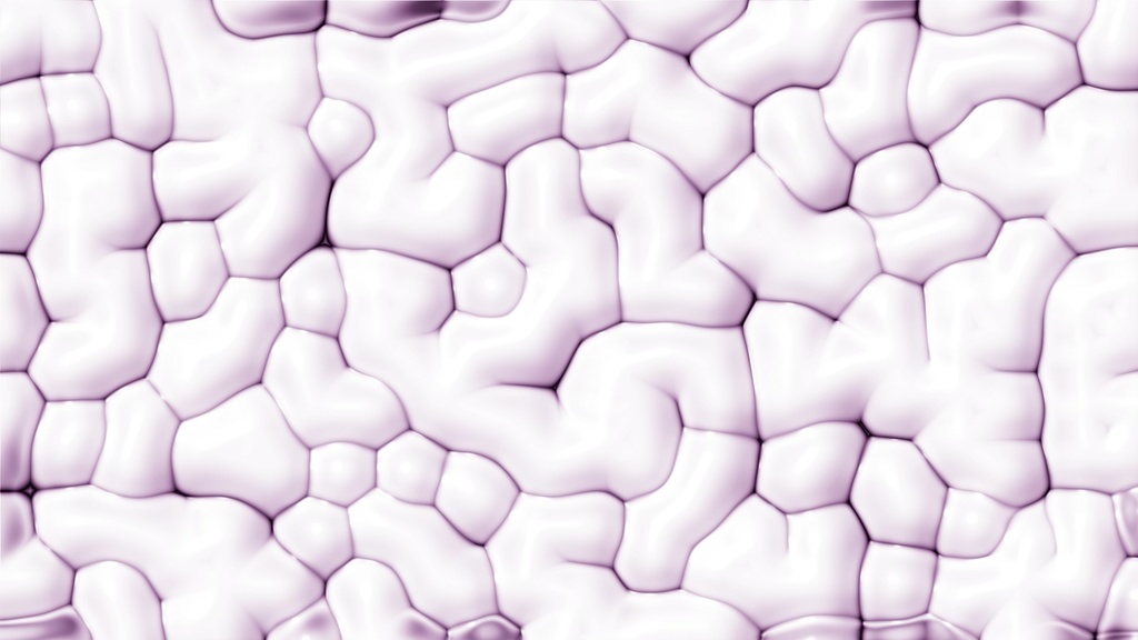 Brain Wrinkle Cell.ffx