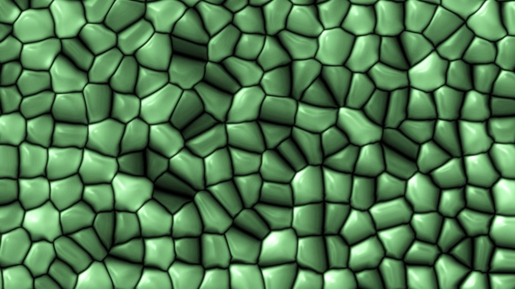 Chloroplast Cell.ffx