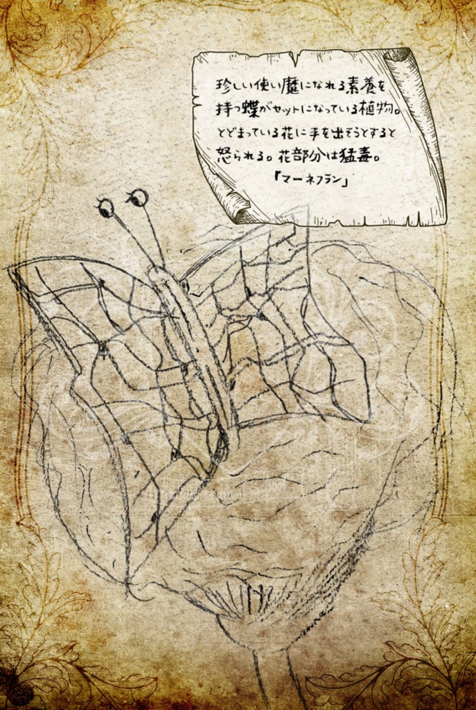 【星誓のアルカディア魔法学校】2023年高原課外授業 魔法植物図鑑