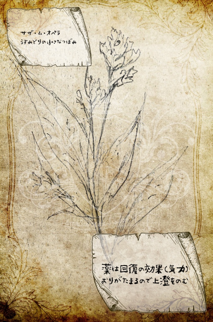 【星誓のアルカディア魔法学校】2023年高原課外授業 魔法植物図鑑