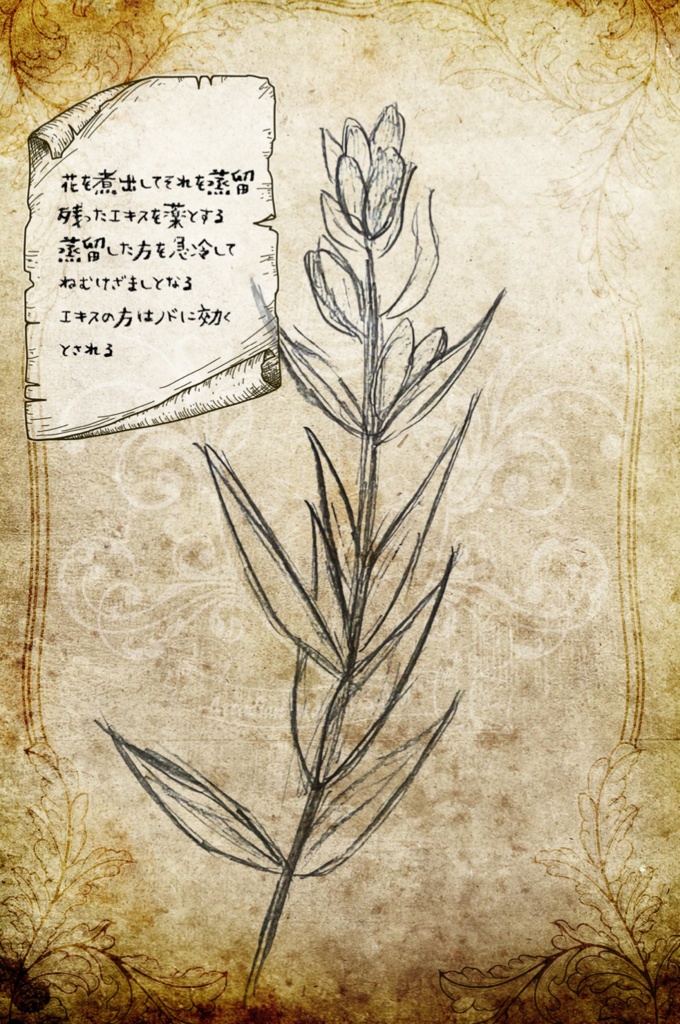 【星誓のアルカディア魔法学校】2023年高原課外授業 魔法植物図鑑