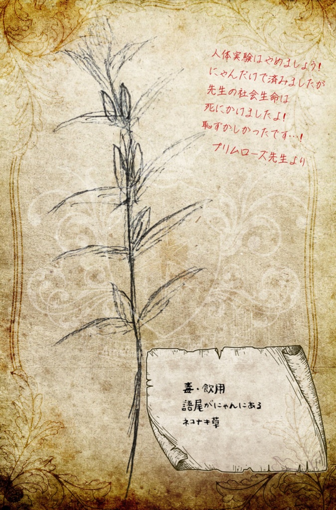 【星誓のアルカディア魔法学校】2023年高原課外授業 魔法植物図鑑