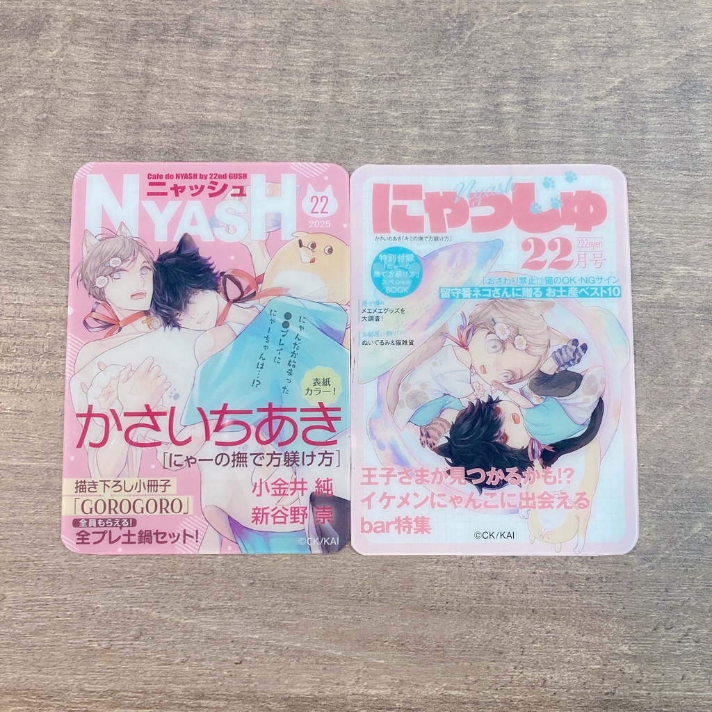 【Cafe de NYASH by 22nd GUSH】ランダム雑誌風クリアカード/アクリルフレークセット