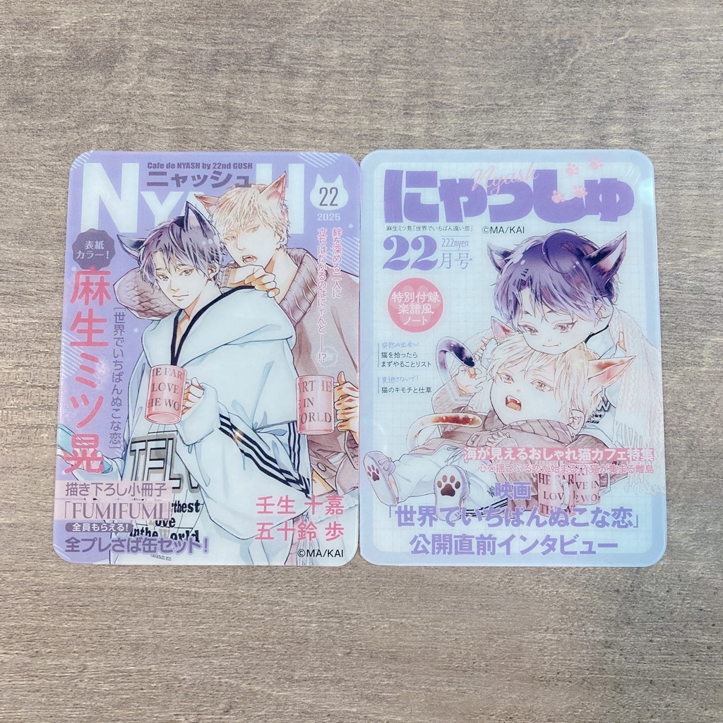 【Cafe de NYASH by 22nd GUSH】ランダム雑誌風クリアカード/アクリルフレークセット