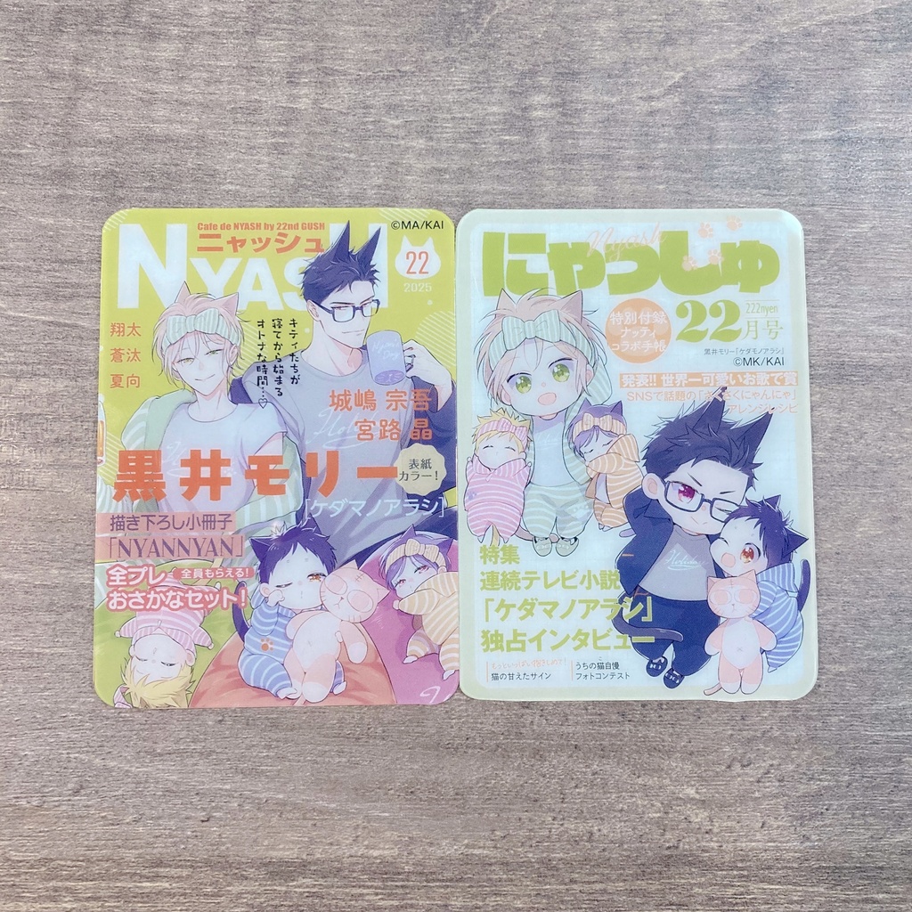 【Cafe de NYASH by 22nd GUSH】ランダム雑誌風クリアカード/アクリルフレークセット