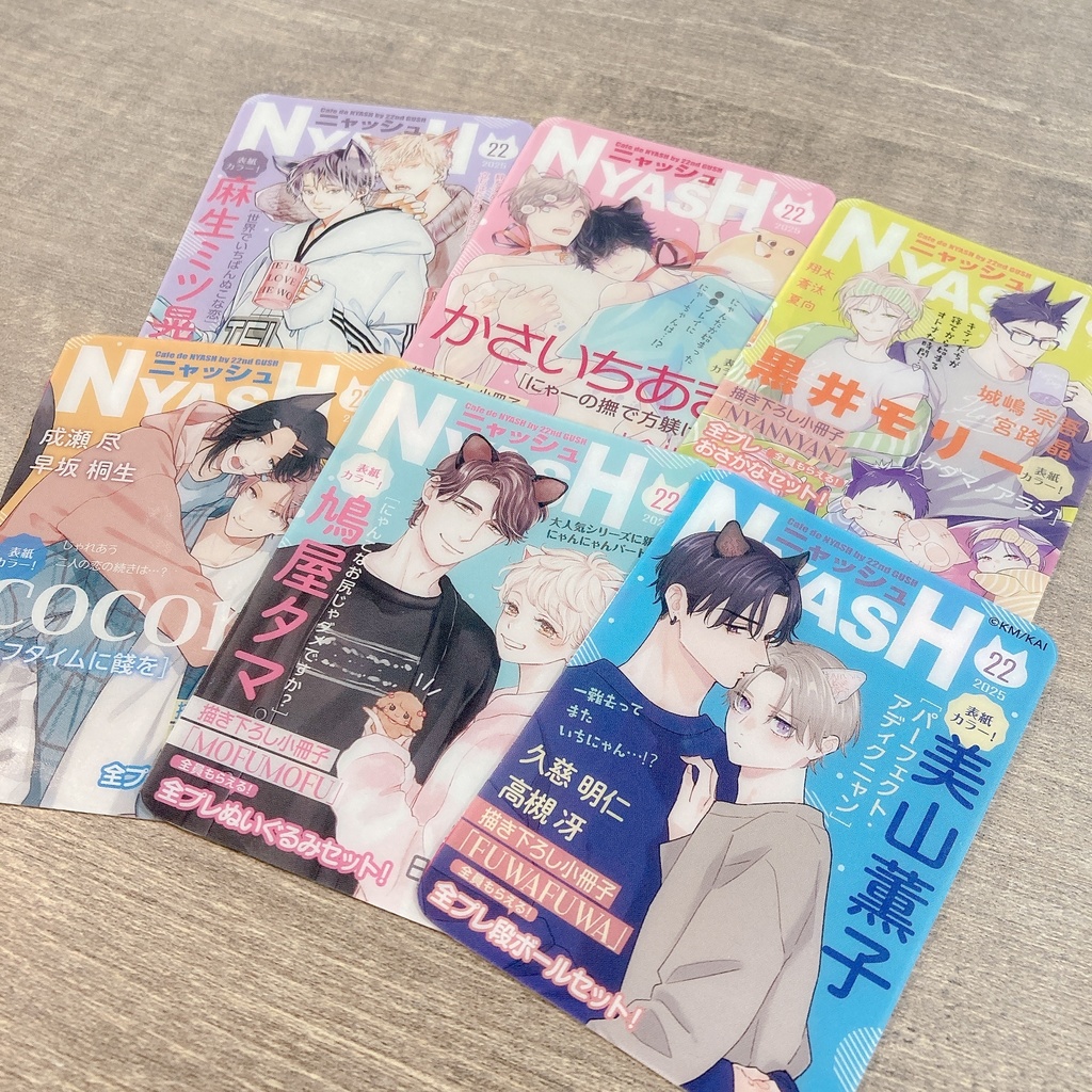 【Cafe de NYASH by 22nd GUSH】ランダム雑誌風クリアカード/アクリルフレークセット