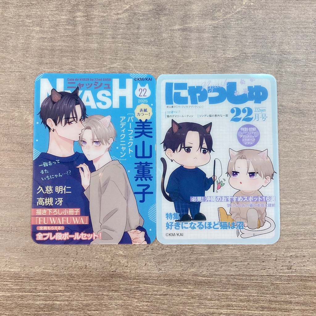 【Cafe de NYASH by 22nd GUSH】ランダム雑誌風クリアカード/アクリルフレークセット