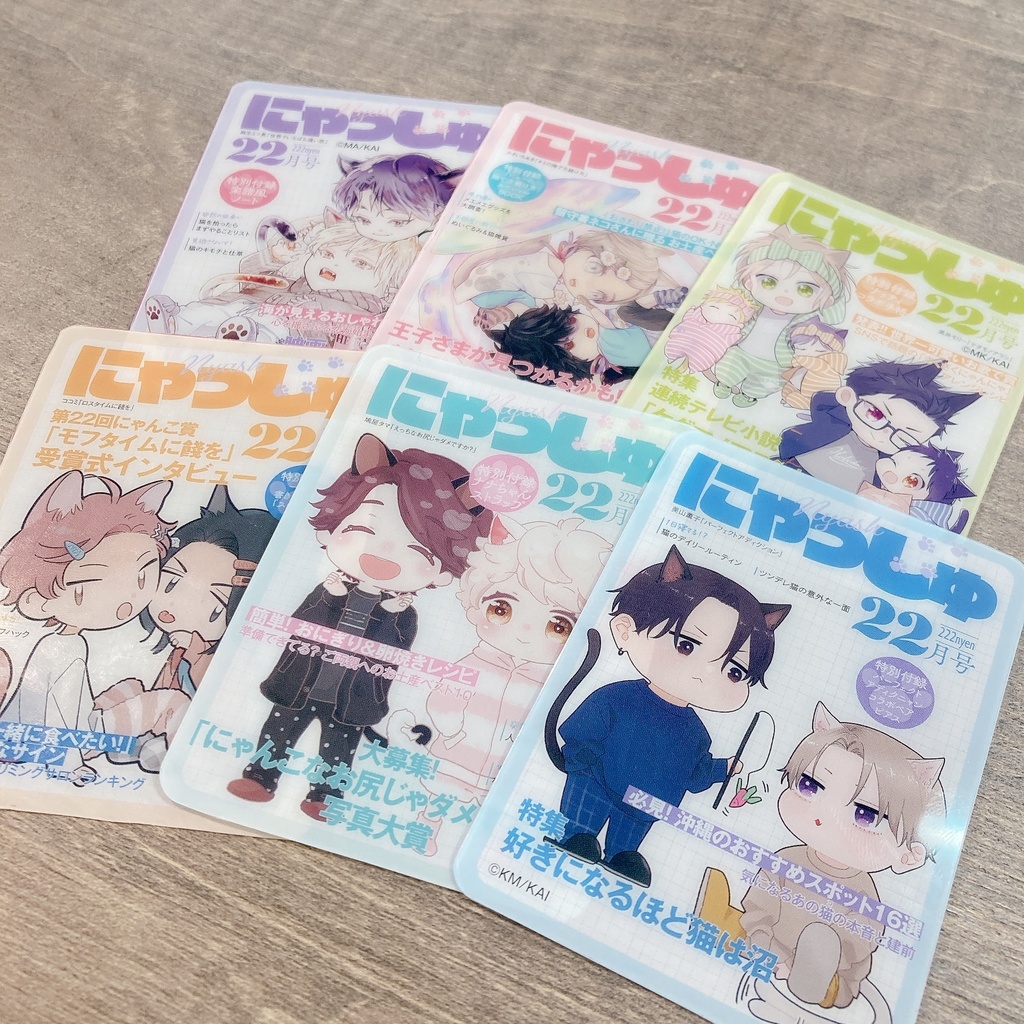 【Cafe de NYASH by 22nd GUSH】ランダム雑誌風クリアカード/アクリルフレークセット