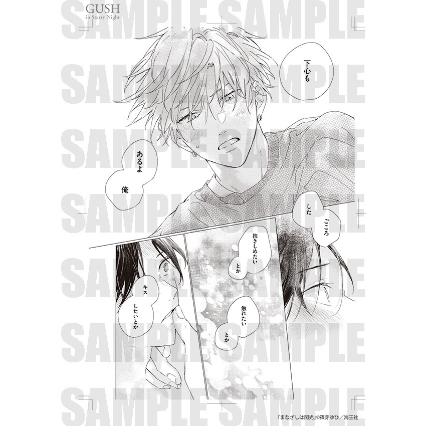 【GUSH in Starry Night 23周年記念展】複製原画