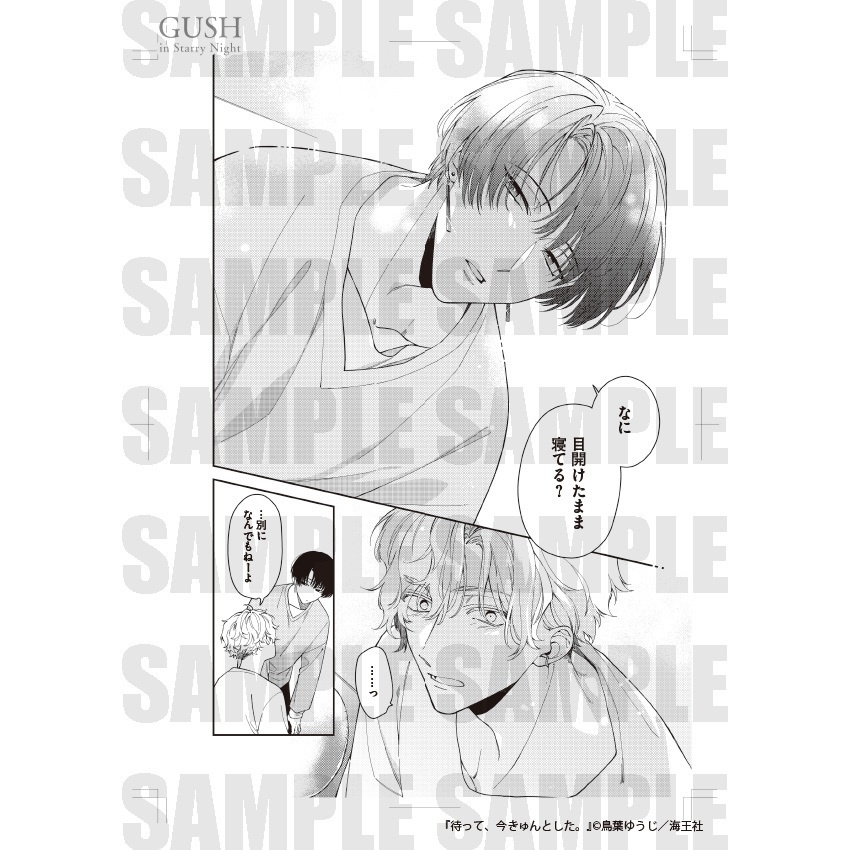 【GUSH in Starry Night 23周年記念展】複製原画