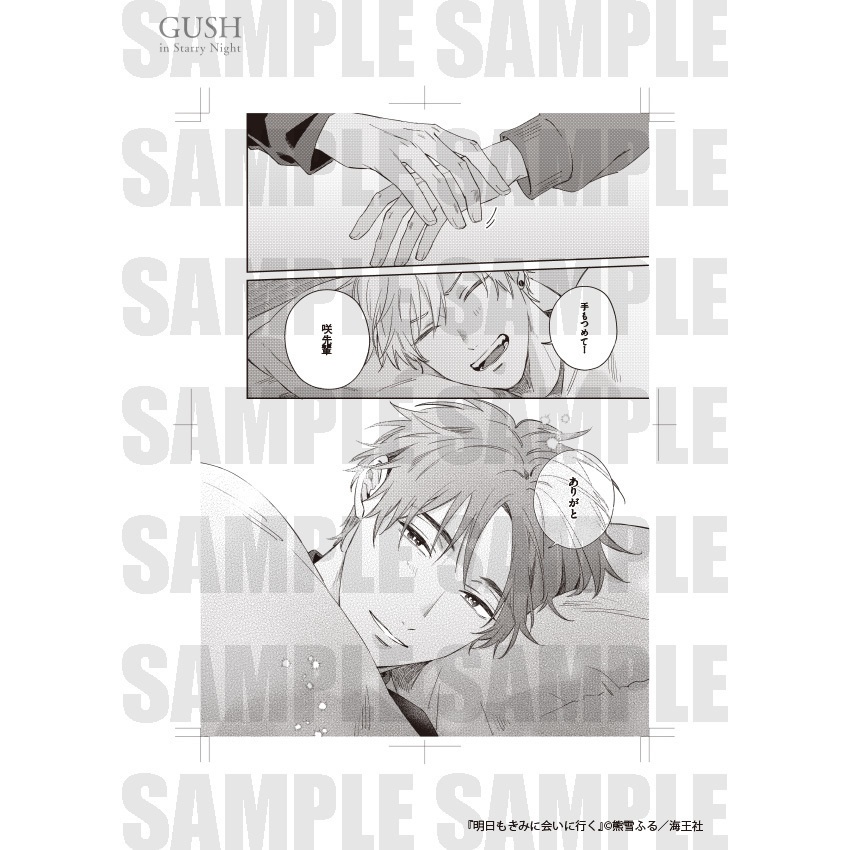 【GUSH in Starry Night 23周年記念展】複製原画