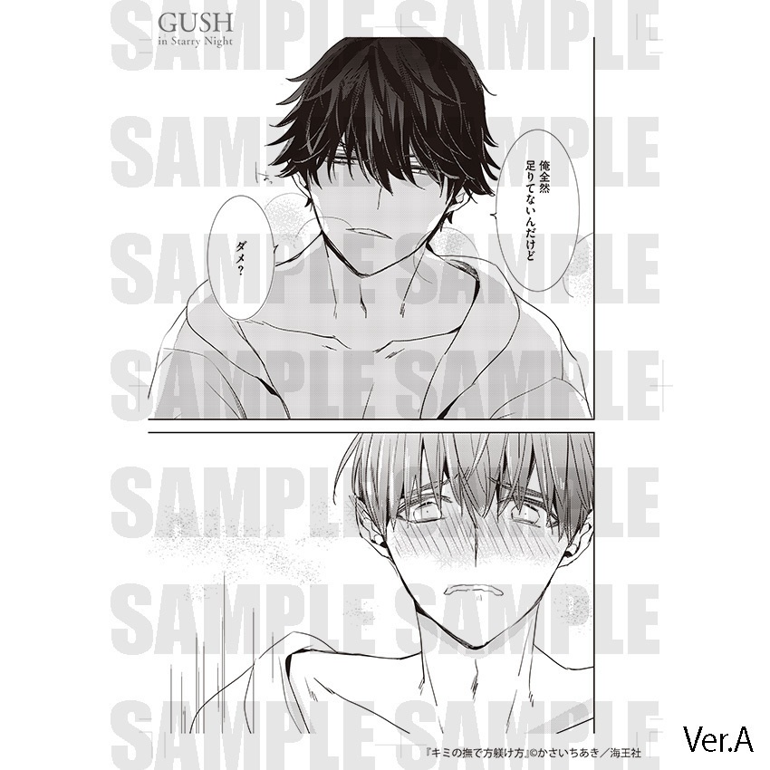 【GUSH in Starry Night 23周年記念展】複製原画