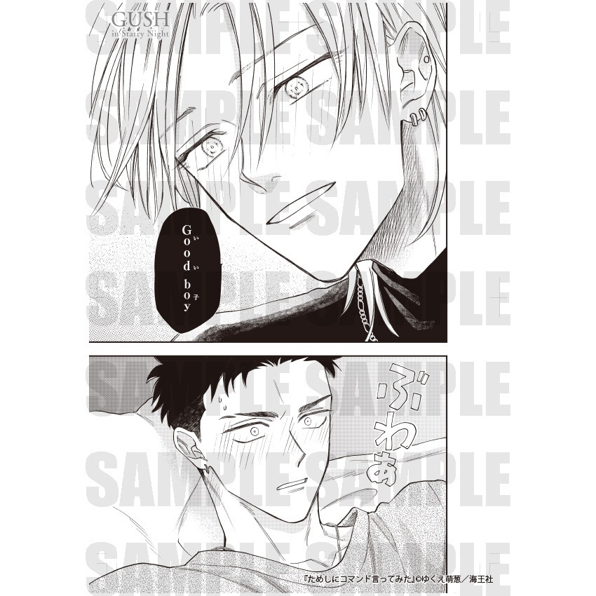 【GUSH in Starry Night 23周年記念展】複製原画