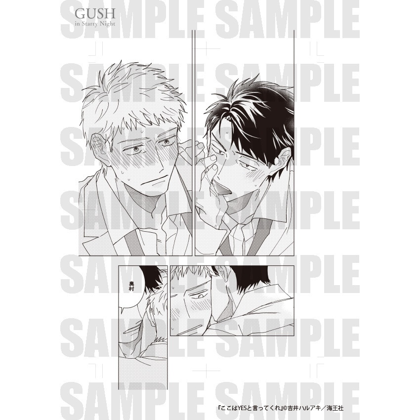 【GUSH in Starry Night 23周年記念展】複製原画