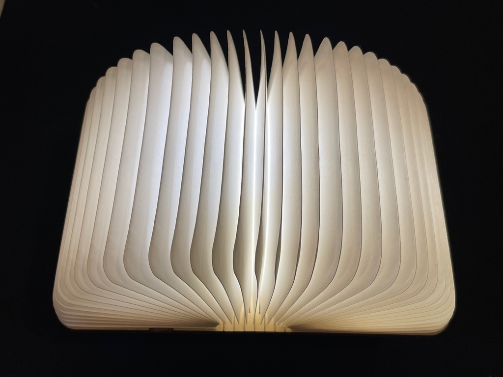 ホグワーツ 木製折りたたみブック型ライト