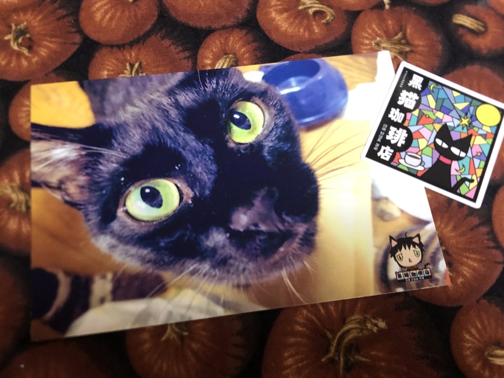 黒猫珈琲店：黒猫ジジさんのポストカード&シールセット