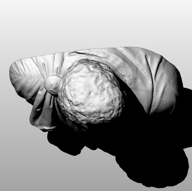 【3Dスキャンモデル】石膏像 ブルータス