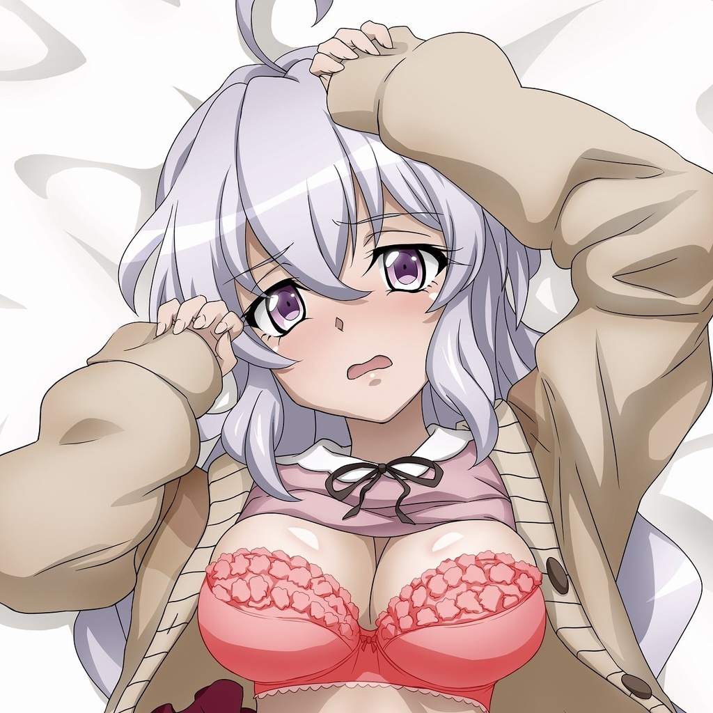 アナザークリス 抱き枕カバー