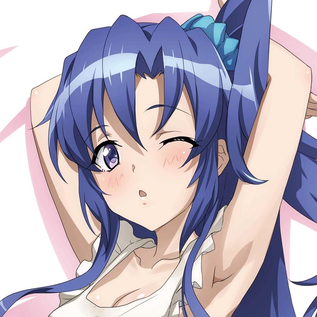 エプロン 翼 抱き枕カバー