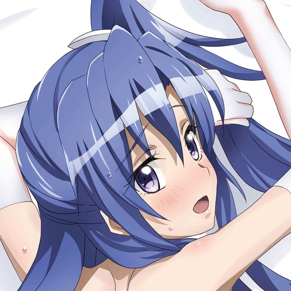 白競泳水着ニーソ 翼 抱き枕カバー