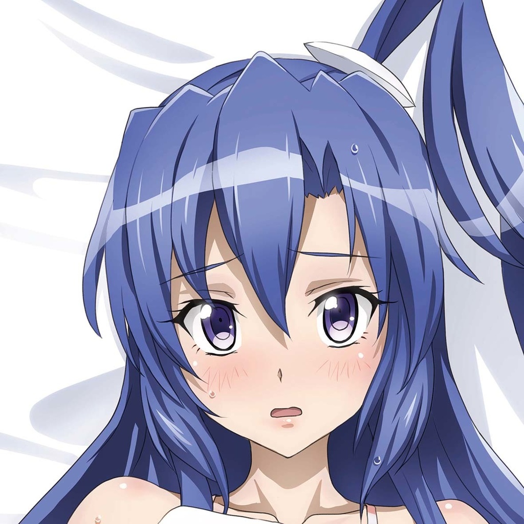 白競泳水着ニーソ 翼 抱き枕カバー