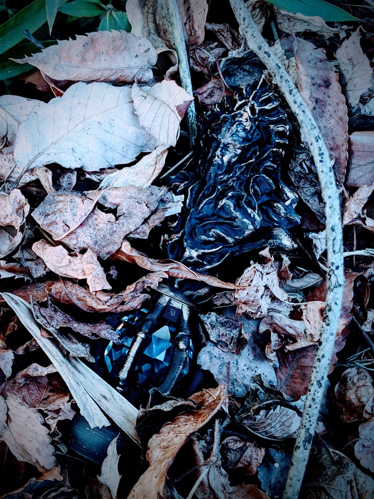 邪心像 ペットボトルキャップ