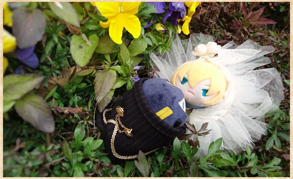 もちマス ウェディングセット