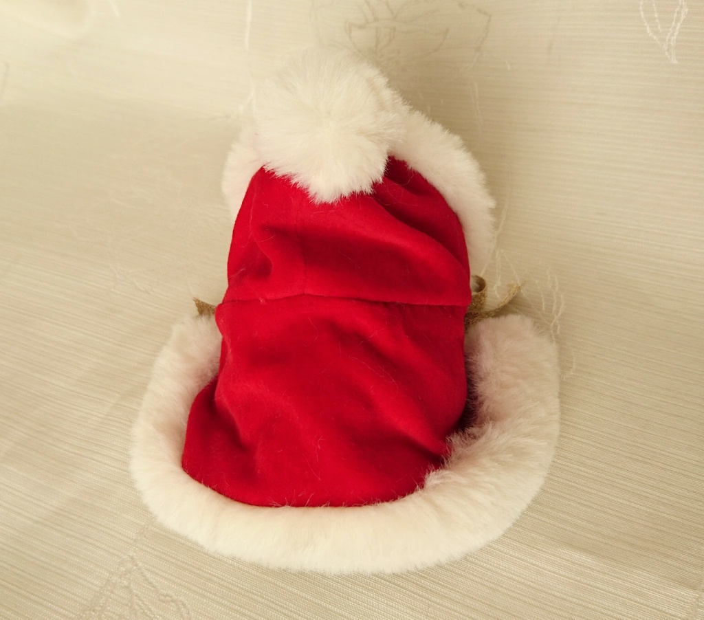 もちマス衣装・サンタ